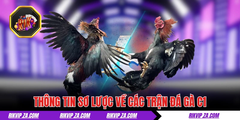 Thông tin sơ lược về các trận đá gà C1