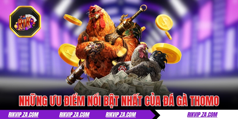 Những ưu điểm dễ nhận thấy nhất của đá gà Thomo